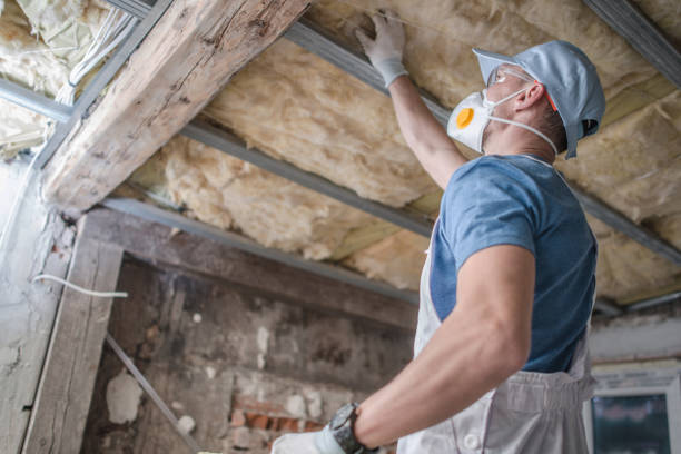 Best Types of Insulation in Westwego, LA